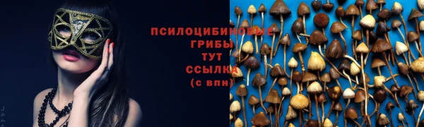 прущая мука Магадан