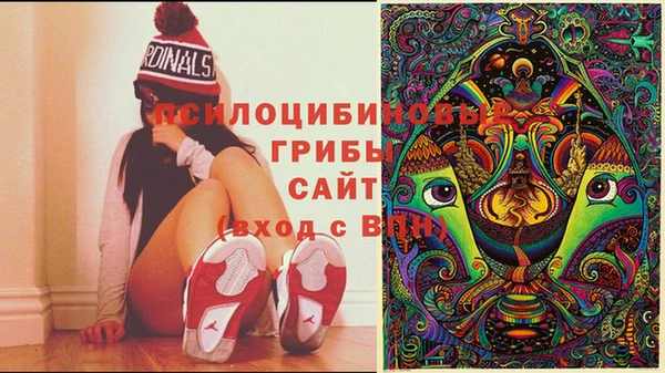 прущая мука Магадан