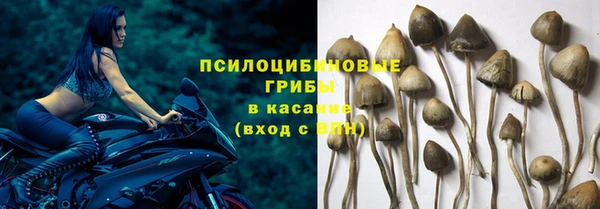 дмт Медногорск